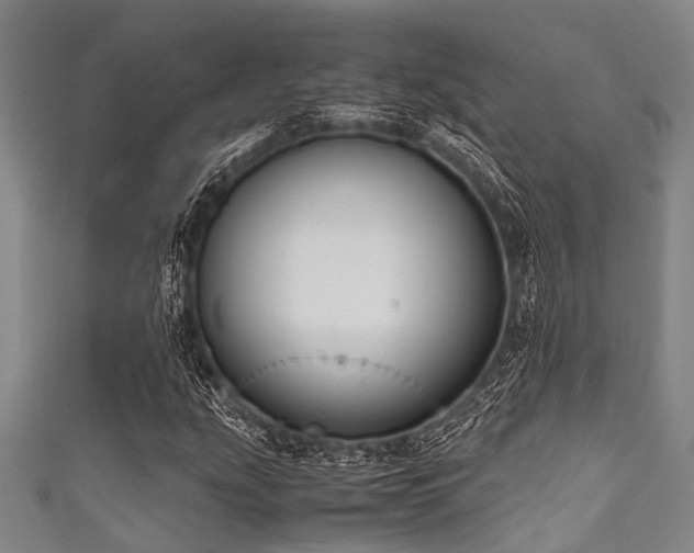 X0000111601207200907161546