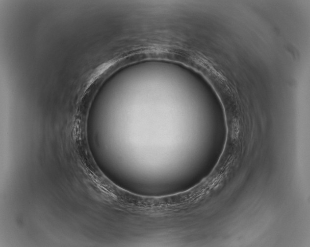 X0000111601208200907161546