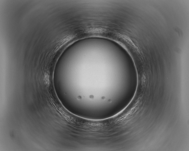 X0000111601209200907161546