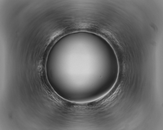 X0000111601210200907161546