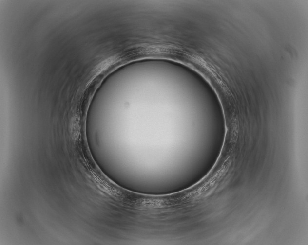X0000111601211200907161546