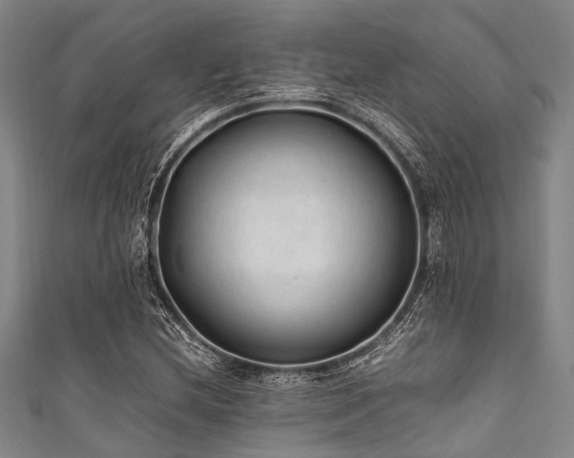 X0000111601212200907161546