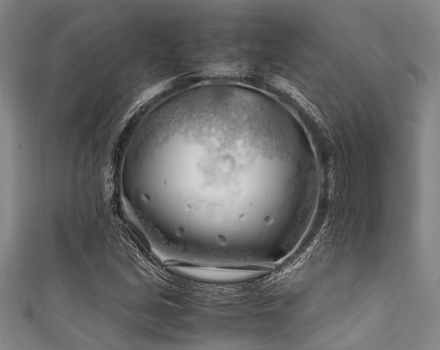 X0000111601213200907161546