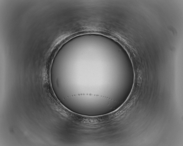 X0000111601215200907161546
