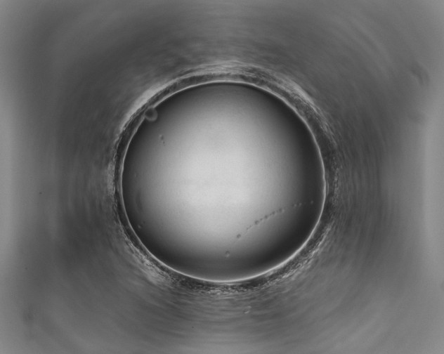 X0000111601216200907161546