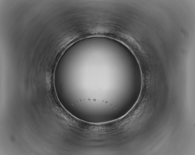 X0000111601217200907161546