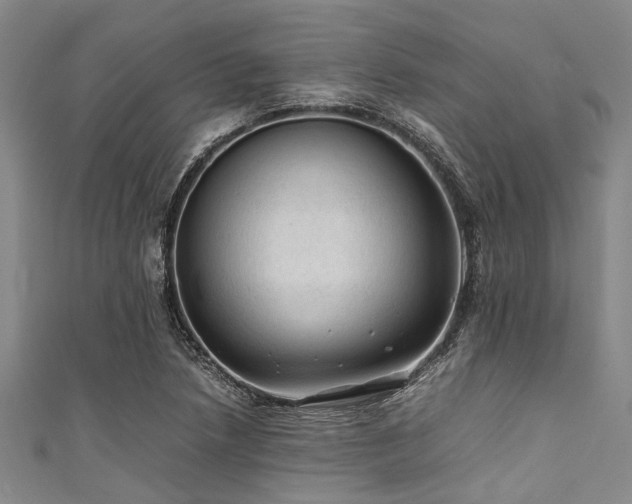 X0000111601218200907161546