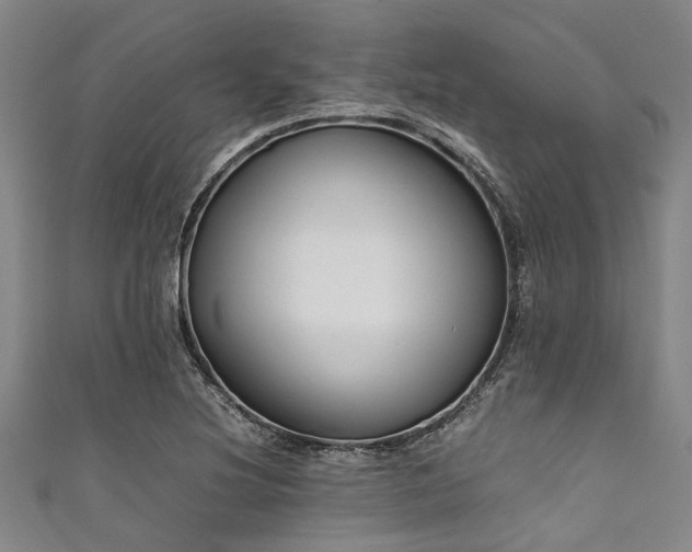 X0000111601220200907161546