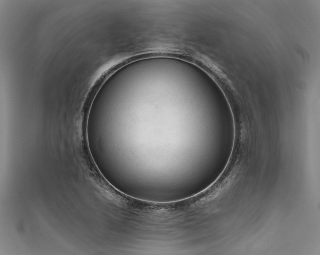 X0000111601222200907161546