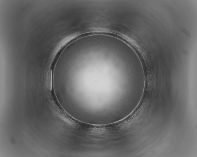 X0000111601223200907161546