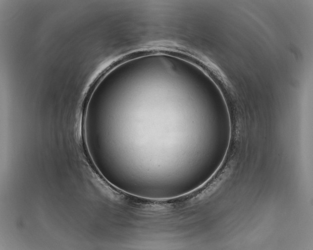 X0000111601224200907161546