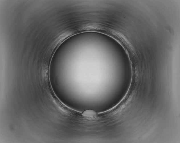 X0000111601225200907161546