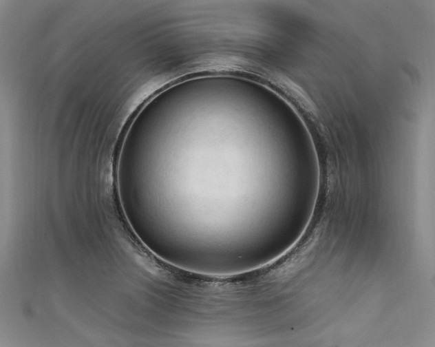 X0000111601226200907161546