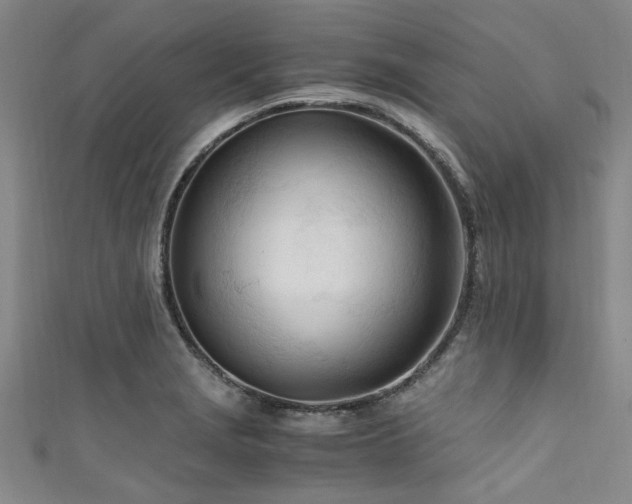 X0000111601229200907161546