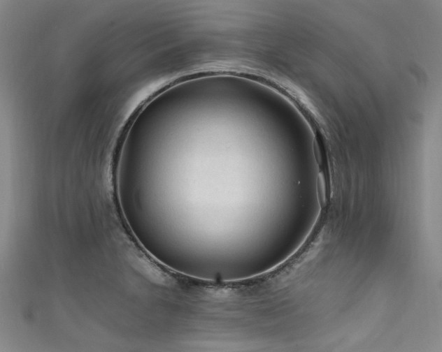 X0000111601230200907161546