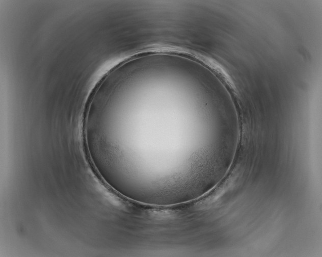 X0000111601231200907161546