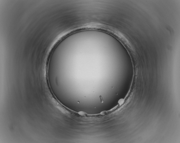 X0000111601232200907161546