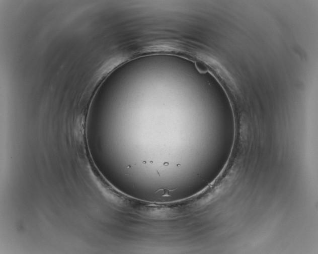 X0000111601233200907161546