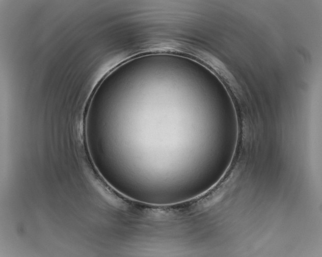 X0000111601234200907161546
