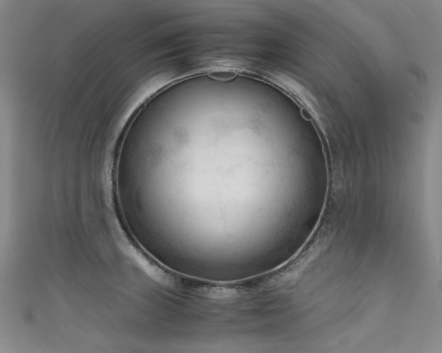 X0000111601235200907161546