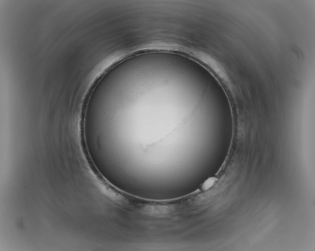 X0000111601237200907161546
