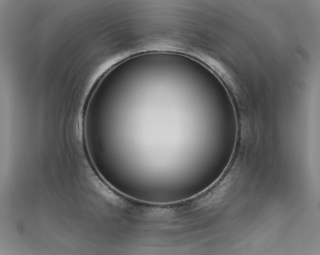 X0000111601238200907161546