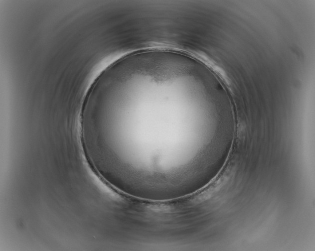 X0000111601239200907161546