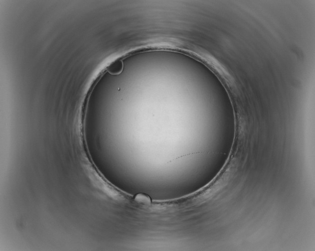 X0000111601240200907161546