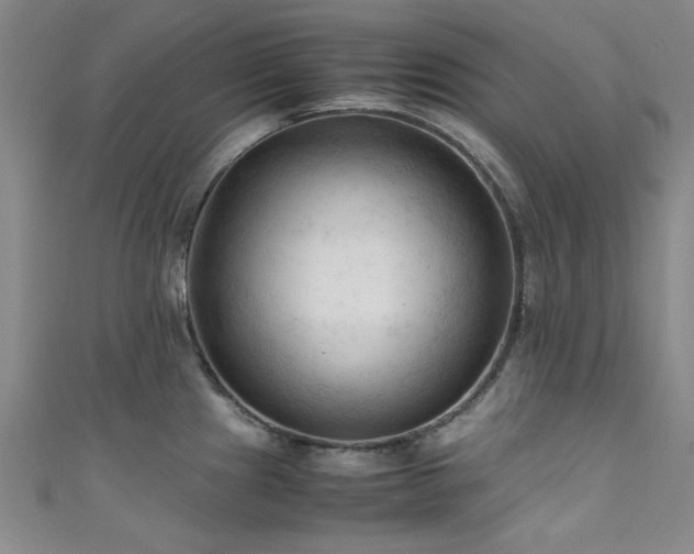 X0000111601241200907161546