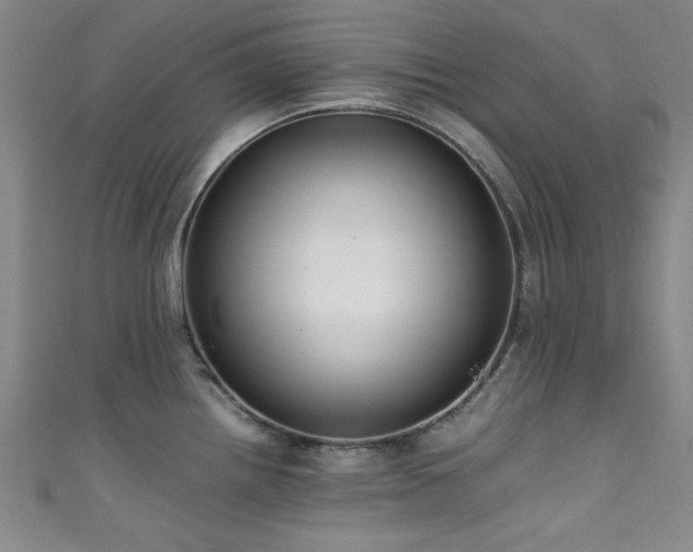 X0000111601242200907161546