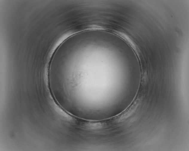 X0000111601243200907161546