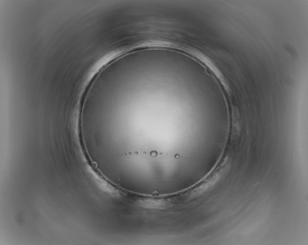X0000111601245200907161546