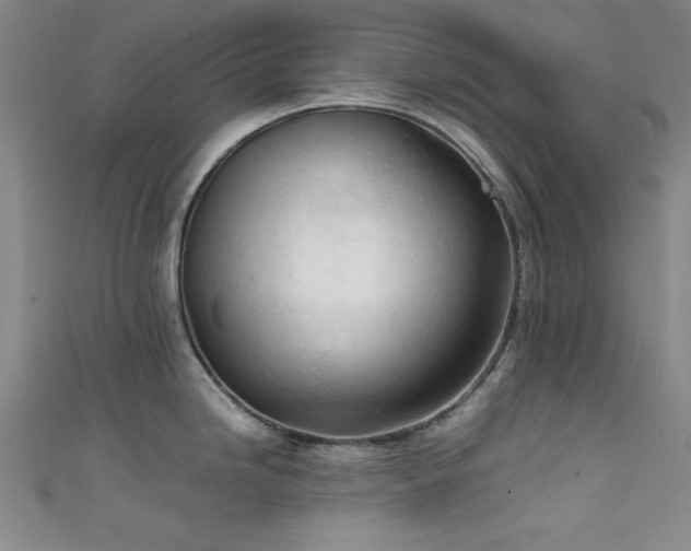 X0000111601246200907161546