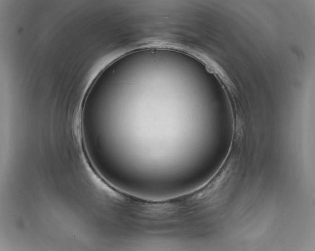 X0000111601247200907161546