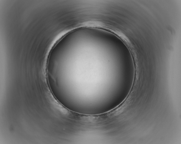 X0000111601248200907161546