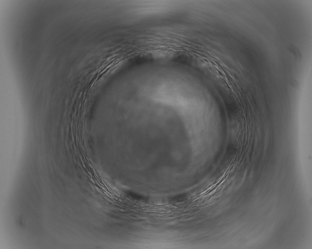 X0000111601249200907161546
