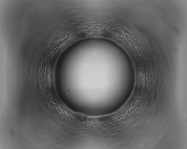 X0000111601250200907161546
