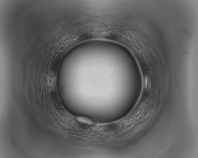 X0000111601251200907161546