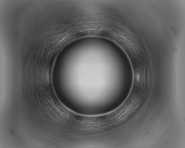 X0000111601252200907161546