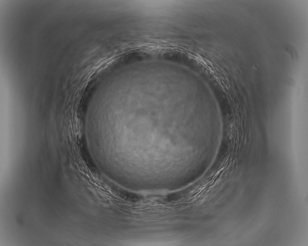 X0000111601253200907161546