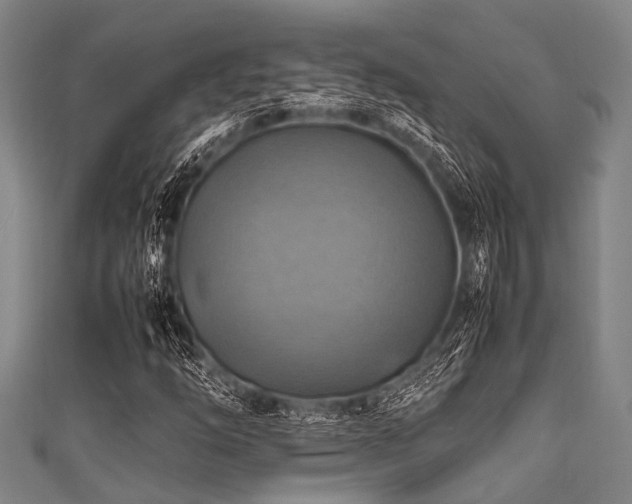 X0000111601254200907161546