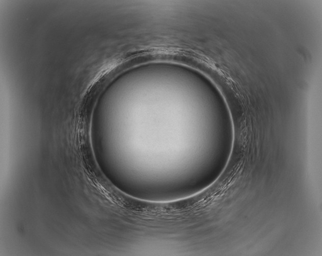 X0000111601255200907161546