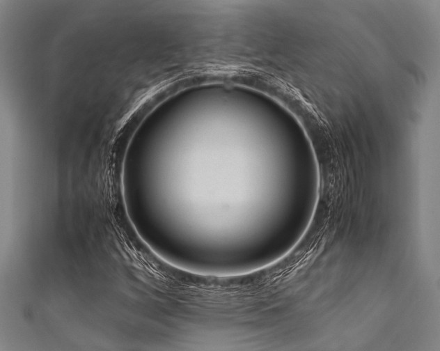 X0000111601256200907161546