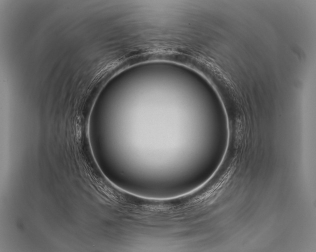 X0000111601257200907161546