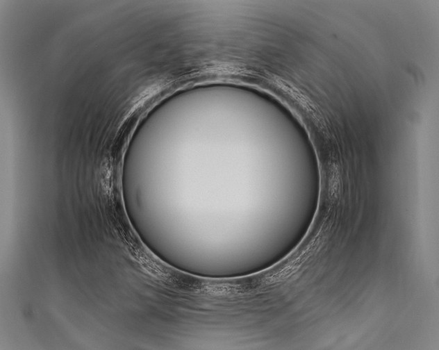 X0000111601258200907161546