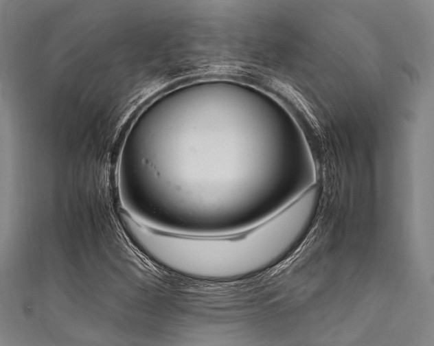 X0000111601260200907161546