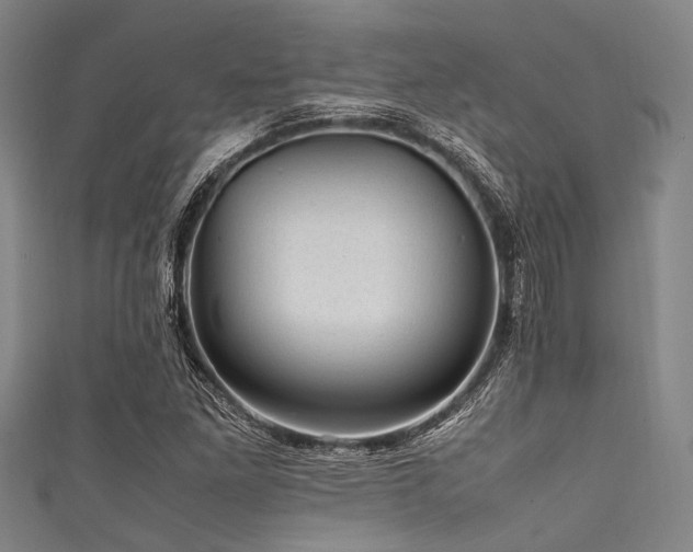 X0000111601261200907161546