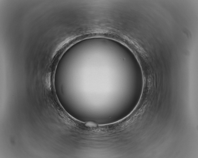 X0000111601262200907161546