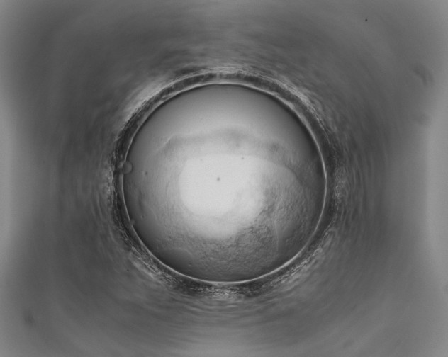 X0000111601263200907161546