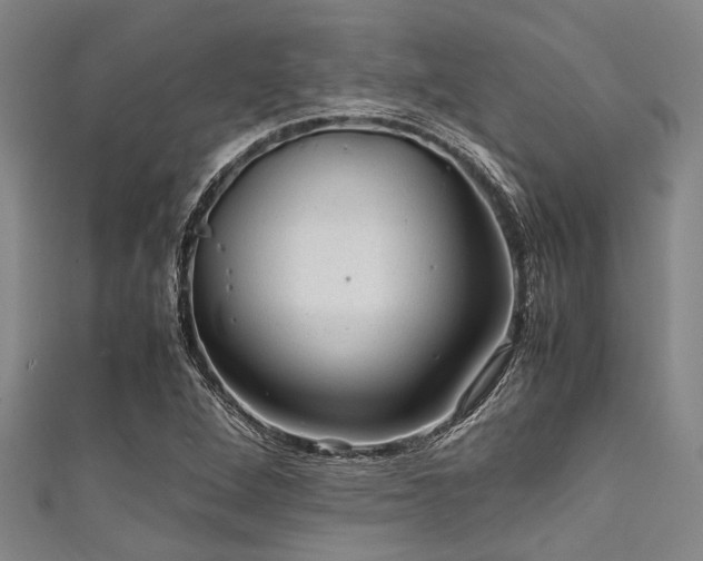 X0000111601264200907161546
